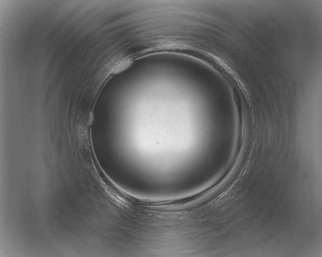 X0000056371281200509021804