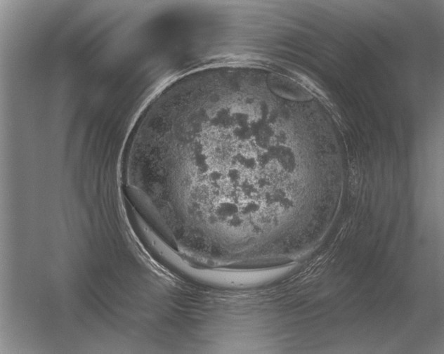 X0000056371283200509021804