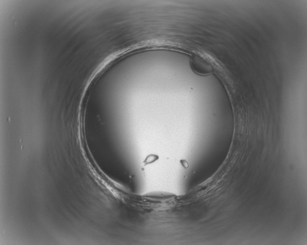 X0000056371286200509021804