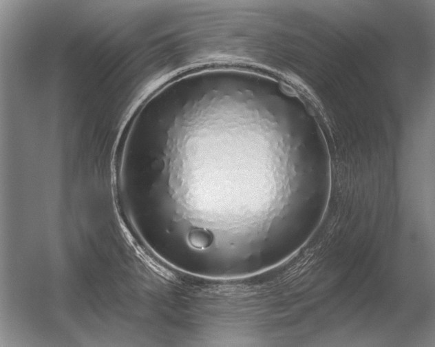 X0000056371287200509021804