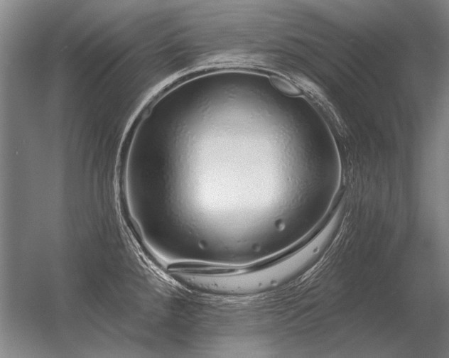 X0000056371288200509021804