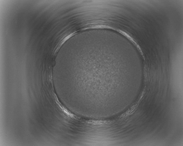 X0000056371289200509021804