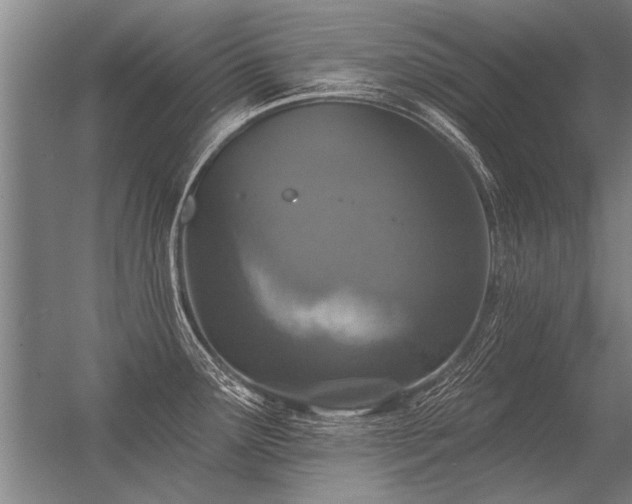 X0000056371291200509021804