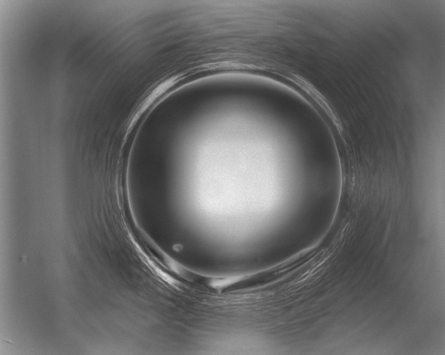 X0000056371293200509021804