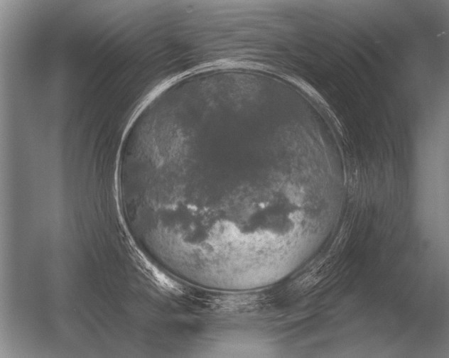 X0000056371294200509021804