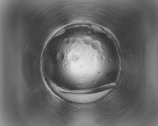 X0000056371295200509021804