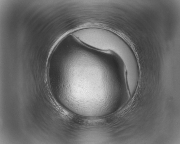 X0000056371296200509021804