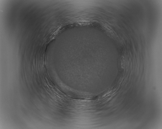 X0000056371298200509021803