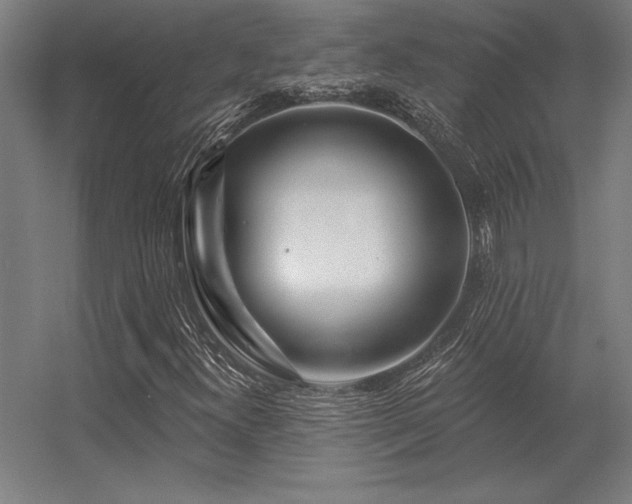 X0000056371300200509021803