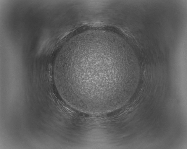 X0000056371301200509021803