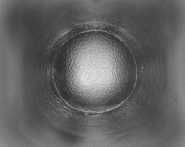 X0000056371302200509021803