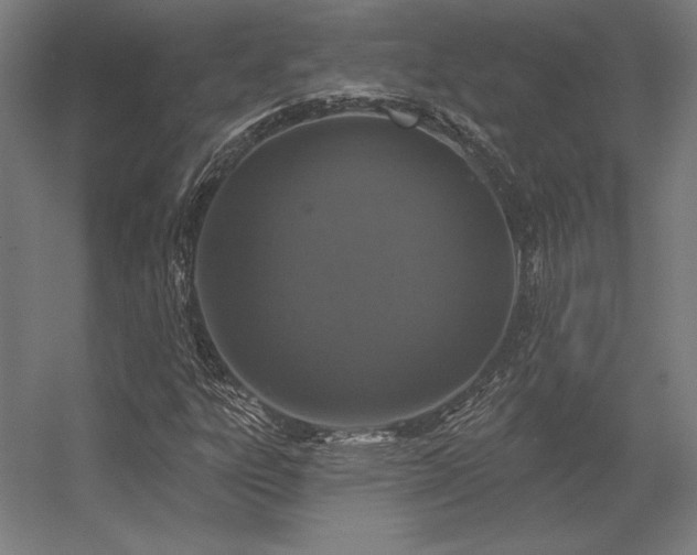 X0000056371303200509021803