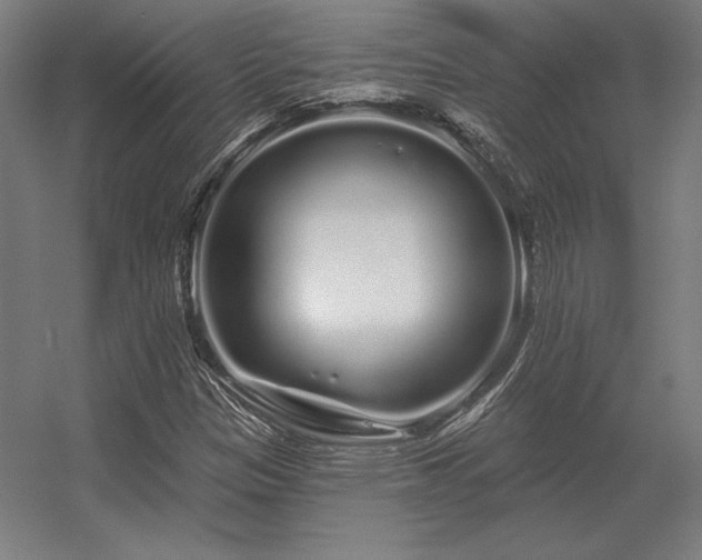 X0000056371305200509021804