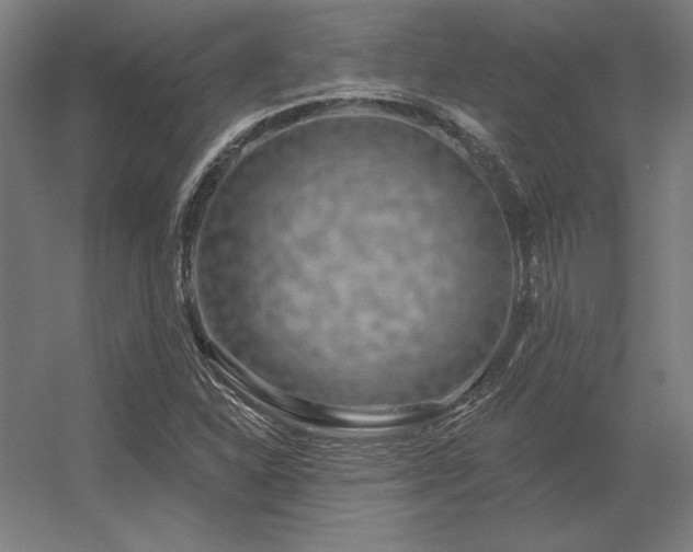 X0000056371310200509021804