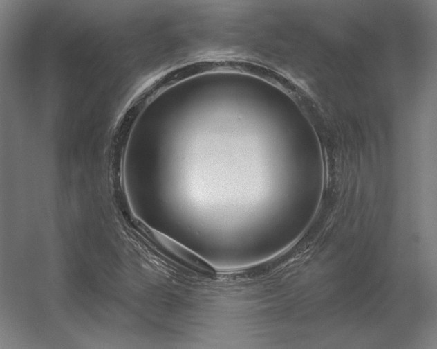 X0000056371311200509021804