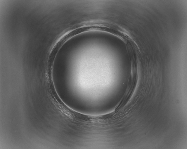 X0000056371312200509021804