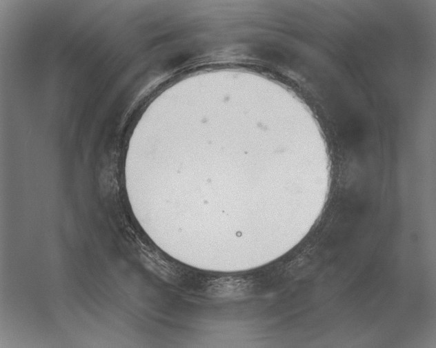 X0000056371314200509021804