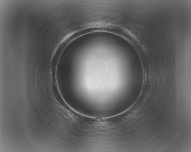 X0000056371315200509021804