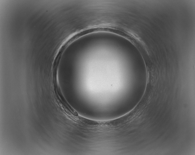 X0000056371316200509021804