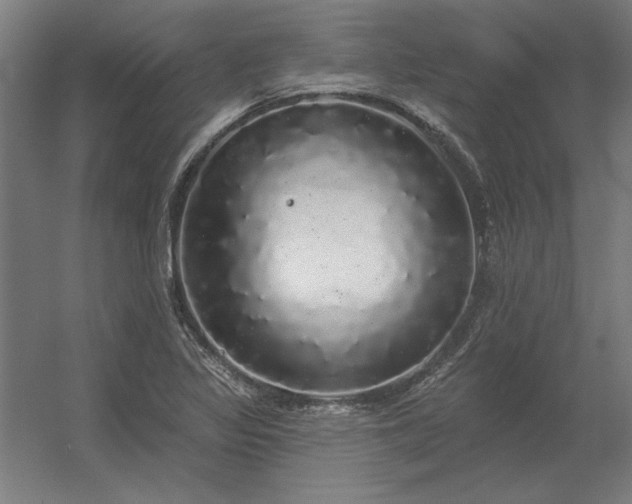 X0000056371317200509021804