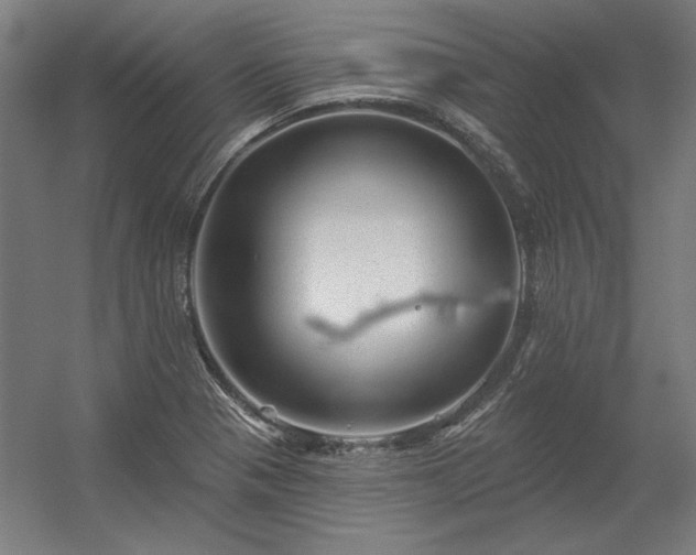 X0000056371321200509021804