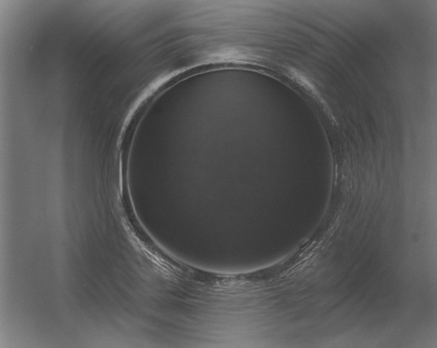 X0000056371323200509021804