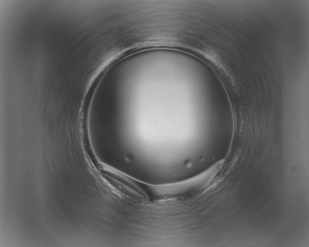 X0000056371325200509021804