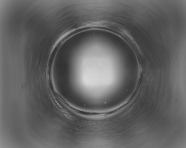 X0000056371328200509021804