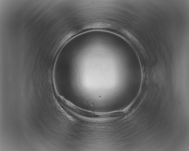 X0000056371329200509021804