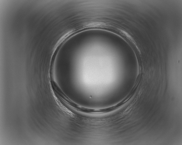 X0000056371330200509021804