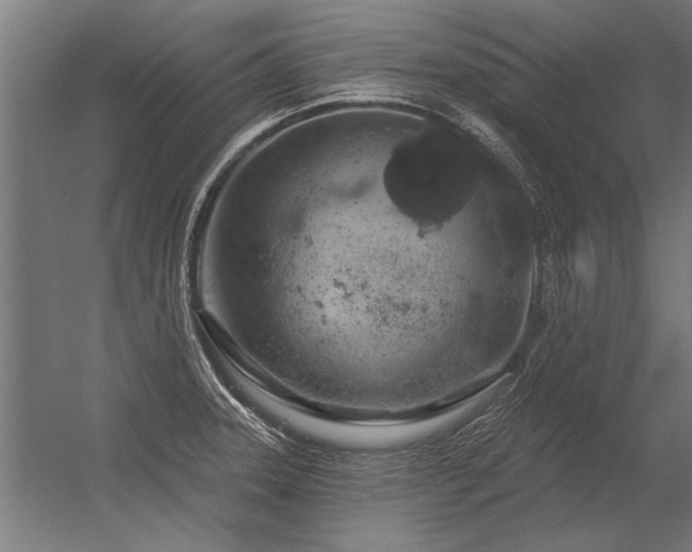 X0000056371331200509021804