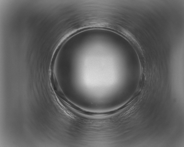 X0000056371332200509021804