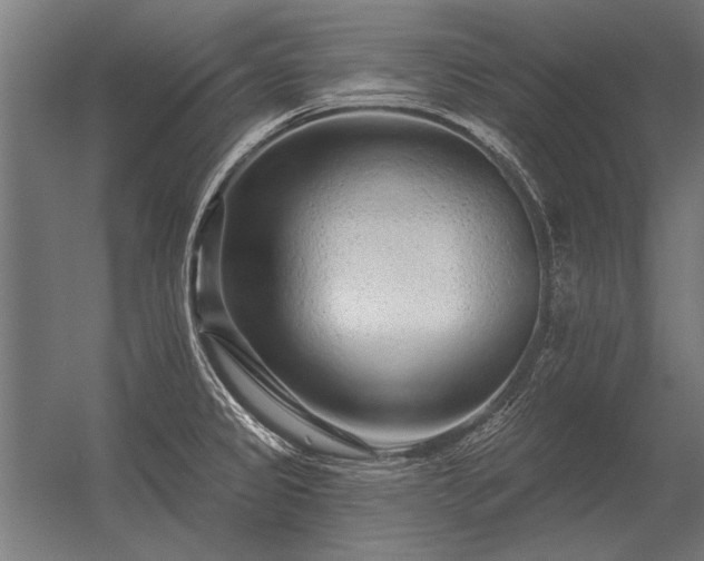 X0000056371333200509021804