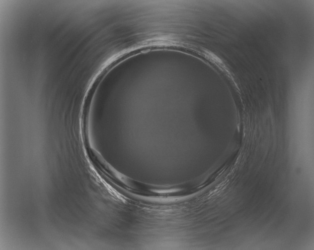 X0000056371334200509021804