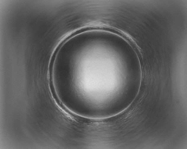 X0000056371335200509021804