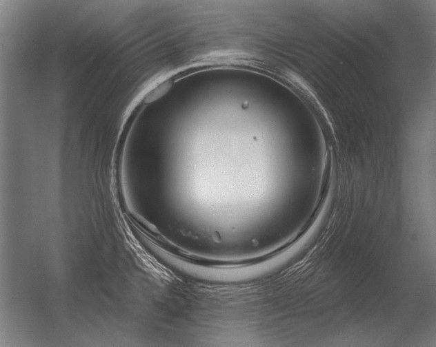 X0000056371336200509021804