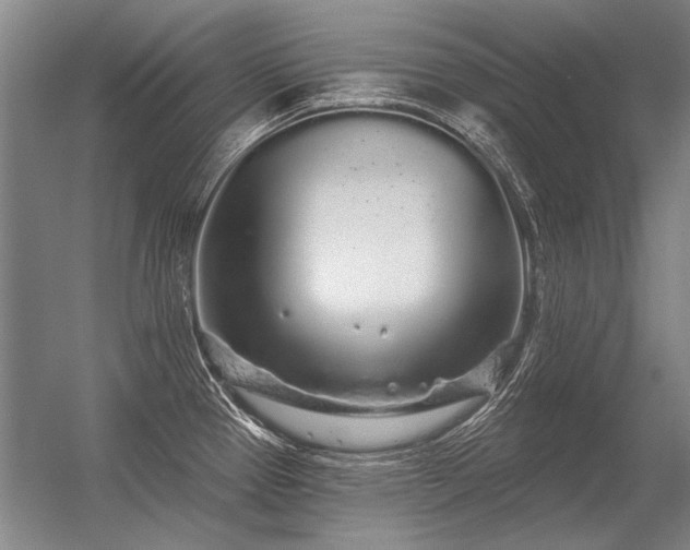 X0000056371337200509021804