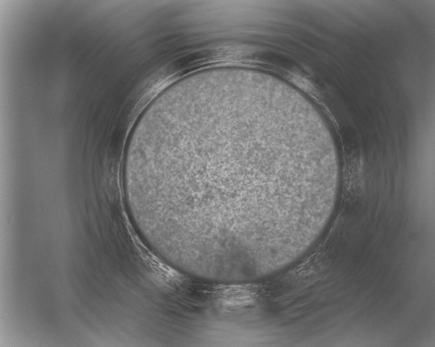 X0000056371338200509021804