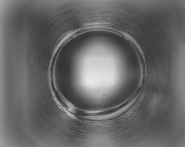 X0000056371341200509021804