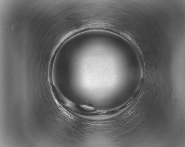 X0000056371342200509021804