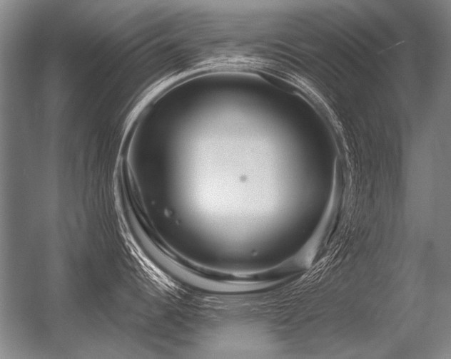 X0000056371344200509021804