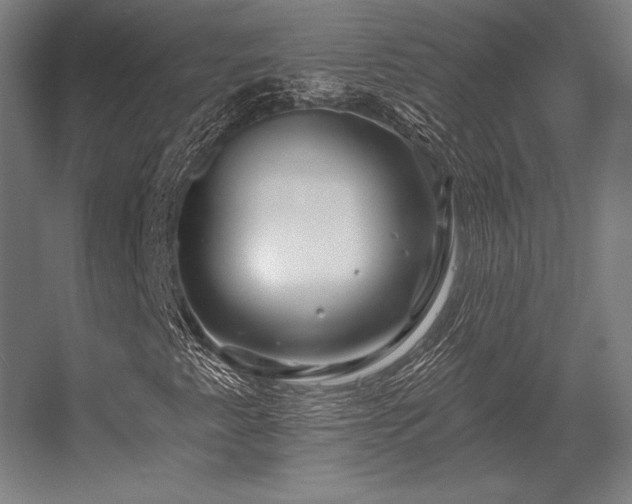 X0000056371345200509021803