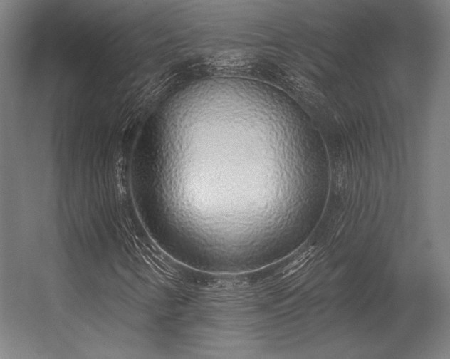 X0000056371346200509021803