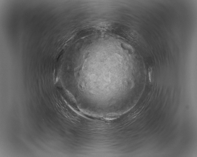 X0000056371347200509021803