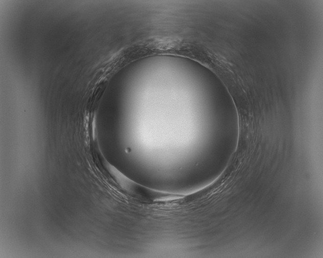 X0000056371349200509021803