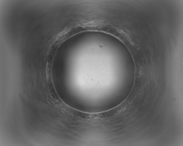 X0000056371350200509021803