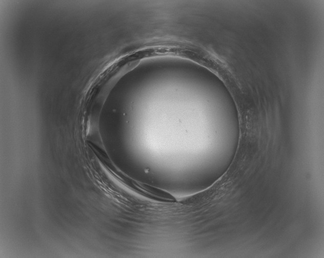 X0000056371352200509021803