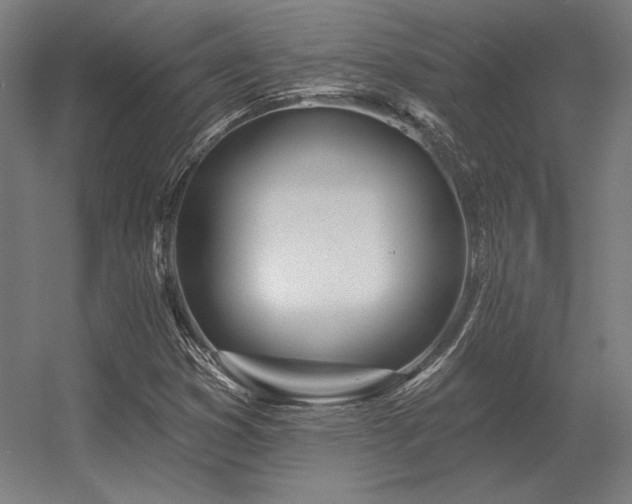 X0000056371353200509021803