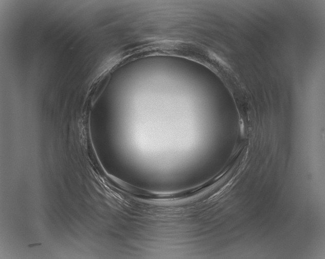 X0000056371354200509021803