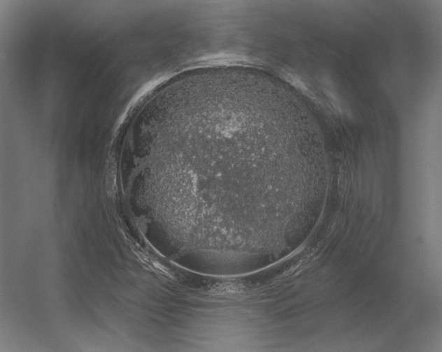 X0000056371358200509021803